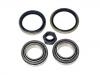 軸承修理包 Wheel bearing kit:5 007 040