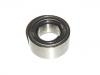 輪轂軸承 Wheel Bearing:1387 203