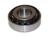 輪轂軸承 Wheel Bearing:211 501 283 D